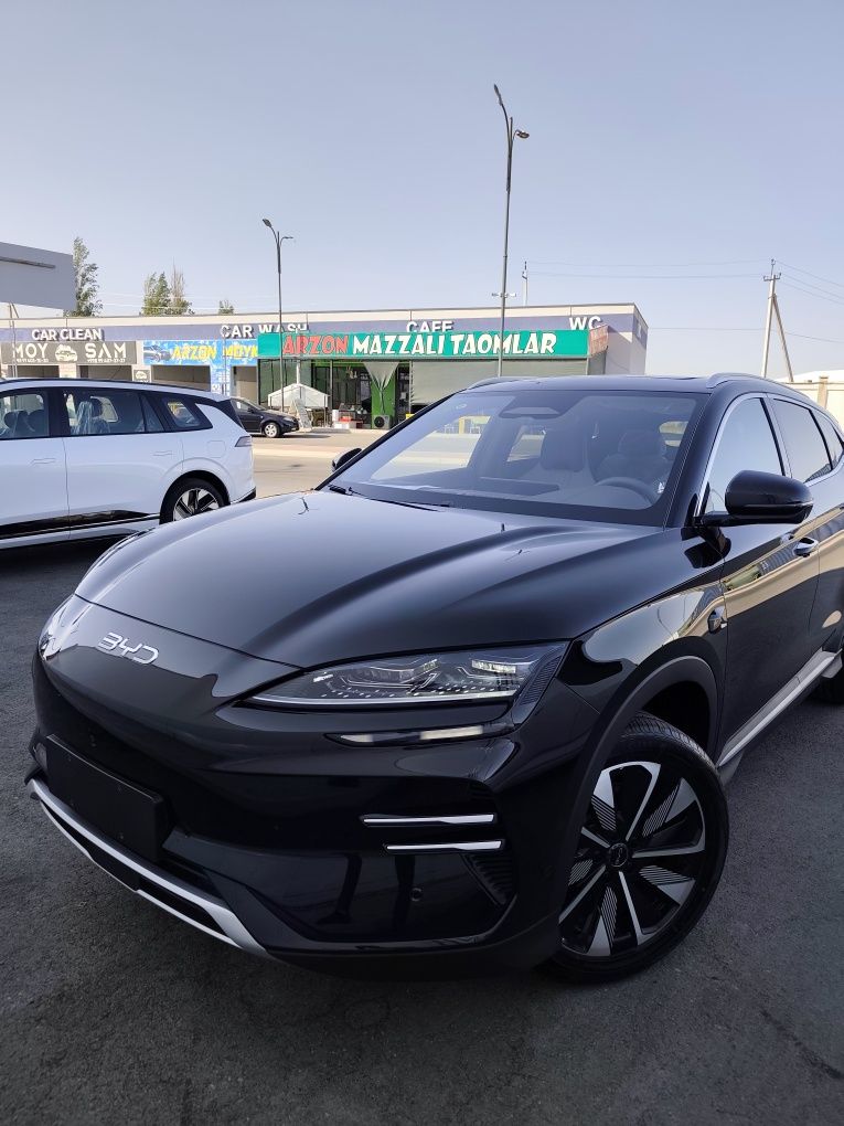 Byd song plus champion ev