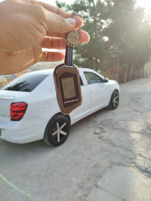 Kobalt navarot qilingan gazi bor 4 pok