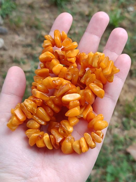 Colier din chihlimbar natural baltic, Butterscoth.