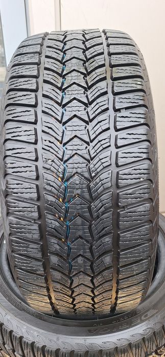 225 45 r17 iarna