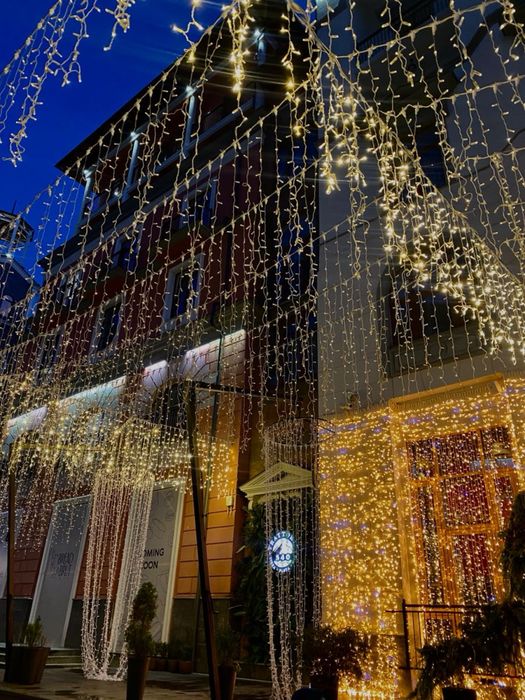 Новогодние уличные гирлянды оптовые цены