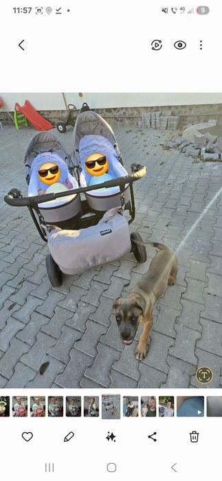 Carucior gemeni 3 in 1 Mikado
