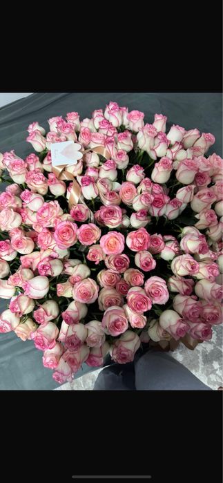 Цветы Розы свежые 201 шт