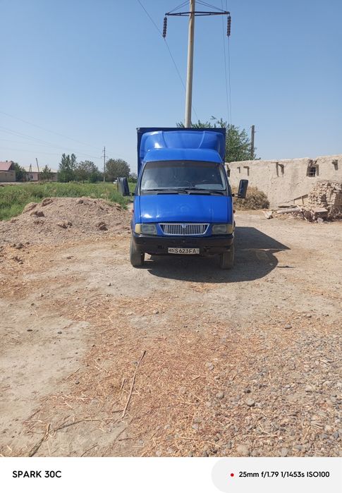 Sotka mayor gazda yuradi holati aloo