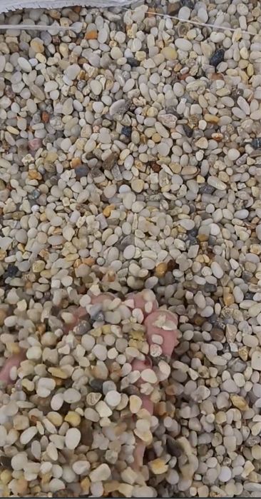 Грунт для аквариума