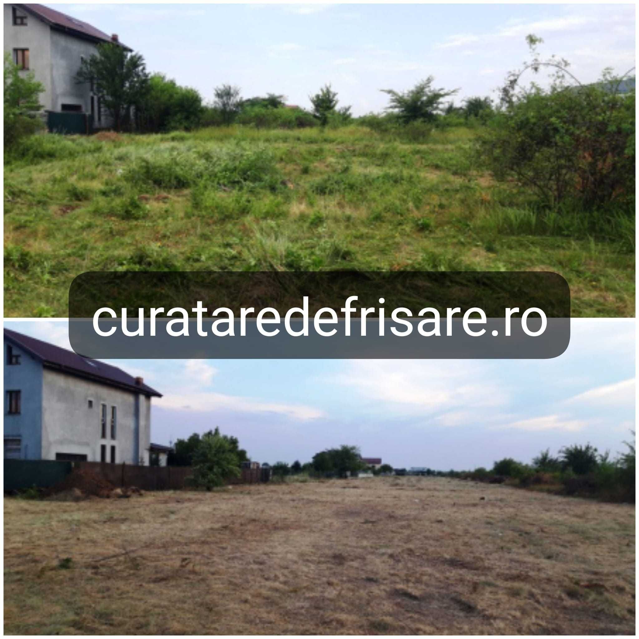 Curatare teren eliminare ambrozie, igienizare teren, tocare vegetatie