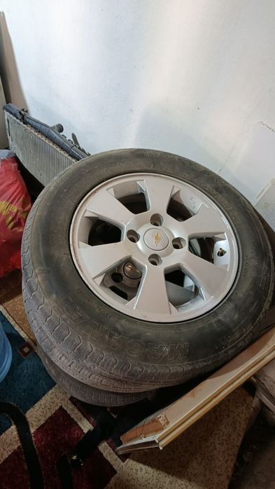 Gentra jentra diska almawaman