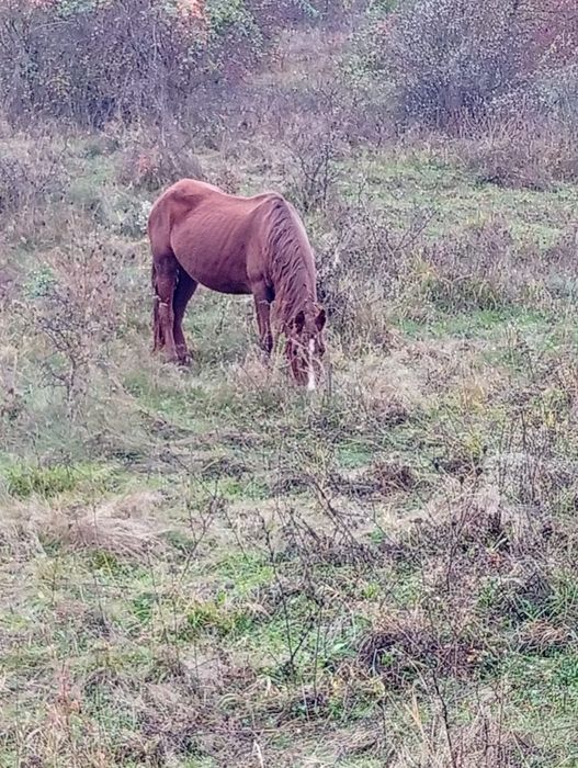 Iapa garantata de caruta si alte munci in gospodarie