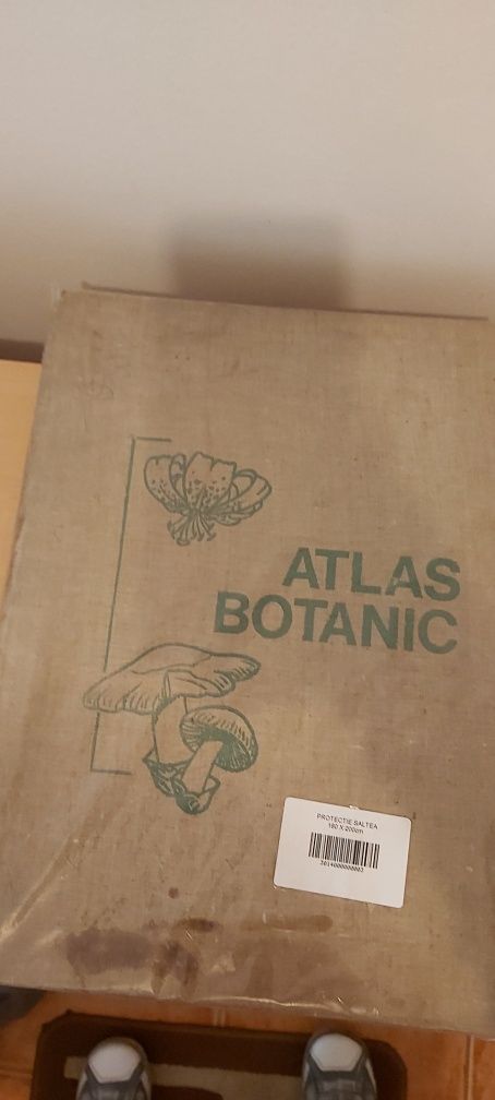 Atlas botanic editia 1973