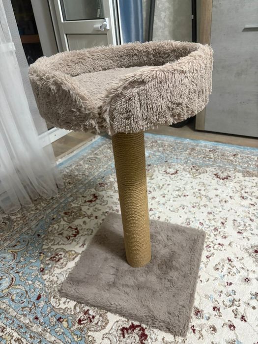 Лежат для кошек 20000 торг уместен