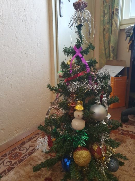 Коледна елха по 30 лв