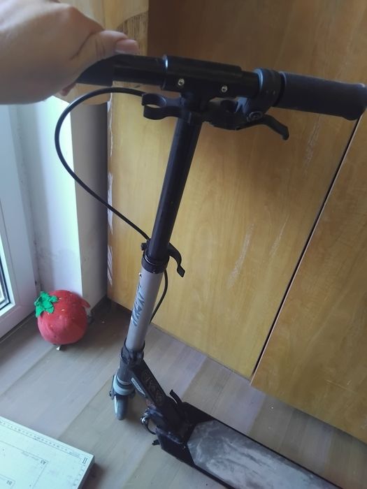 Тортинетка oxelo