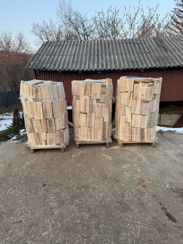 Paleti lemn foc / deseuri de fag / paletizate