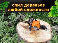 Автовышка спилим кронируем деревья, пилим на части дерево, бензопила