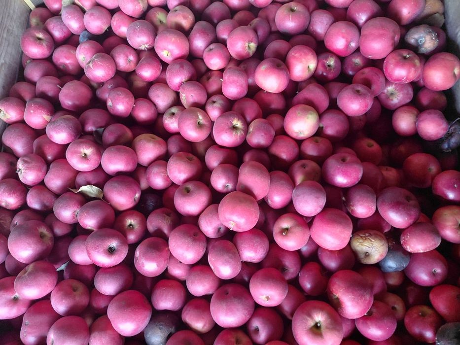 Vand mere calitatea 1