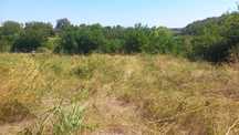 Teren Ganeasa, langa lac, 3 loturi 680 mp