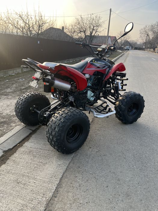 ATV Bashan 200s import Germania