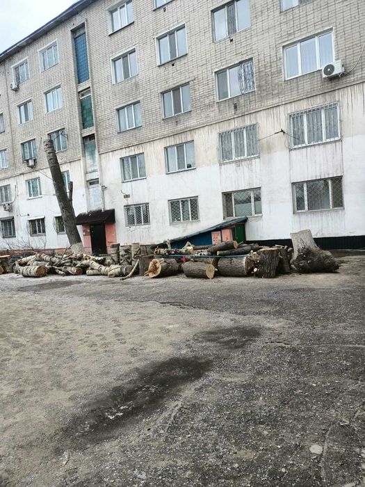 отдам даром  дрова , чурки и ветки деревьев поле подрезки