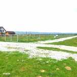Teren extravilan  de vanzare | 8000 mp|- Valea Avrigului