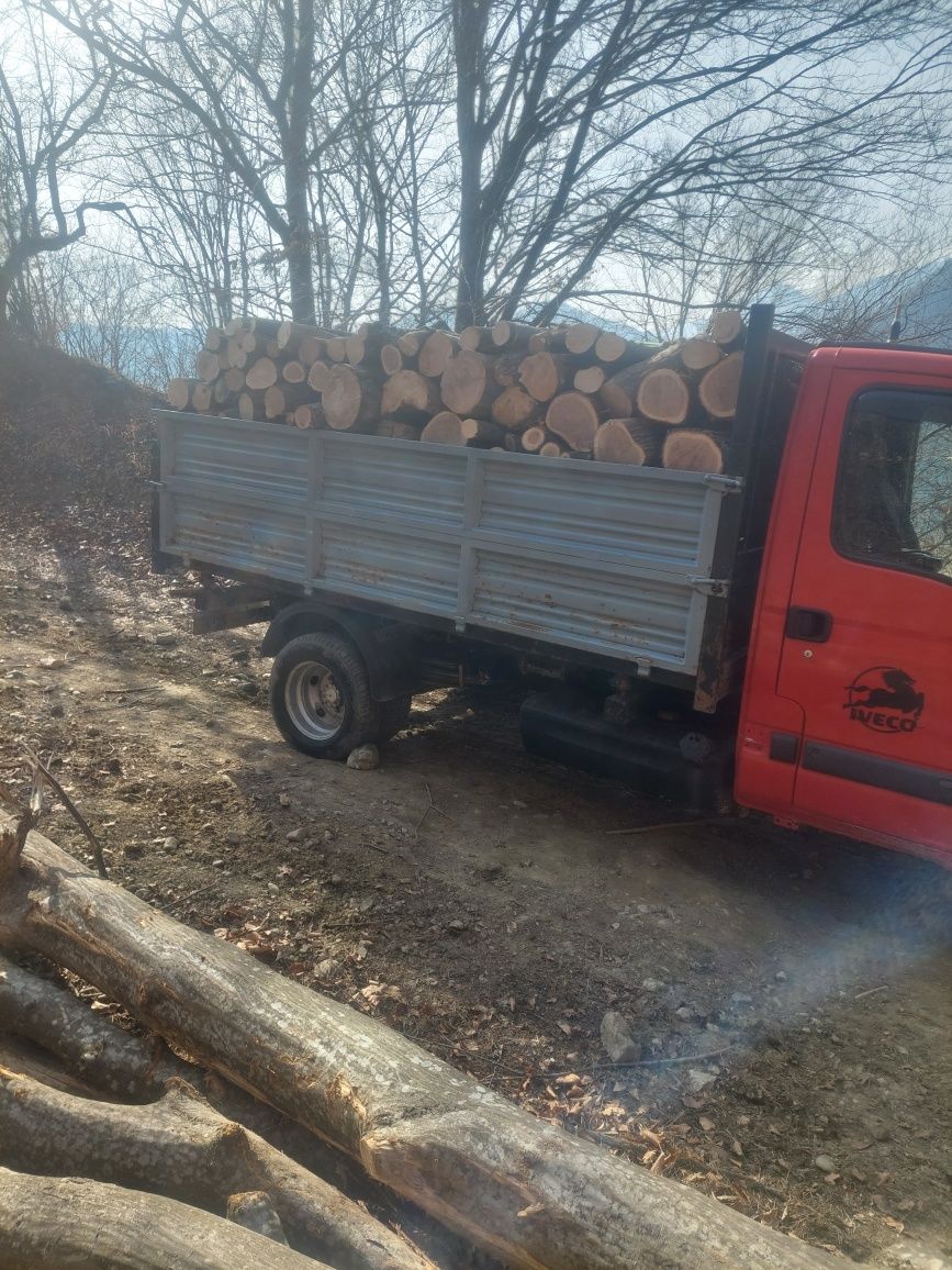 Lemn de foc pentru iarna