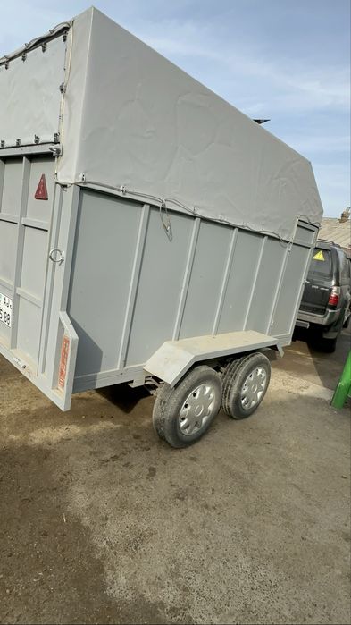 Прицеп коневозка