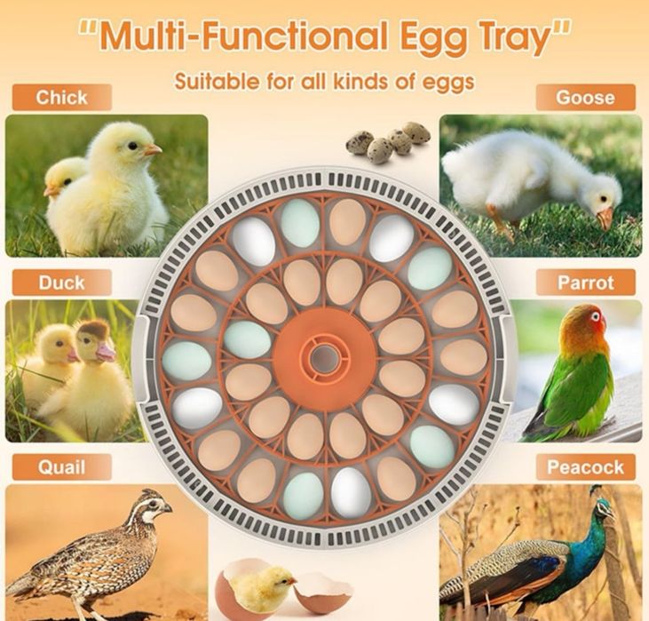 Инкубатор за яйца 30 яйца, Автоматично регулиране на температа