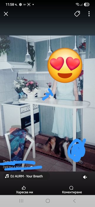 Помощен кухненски бар плот