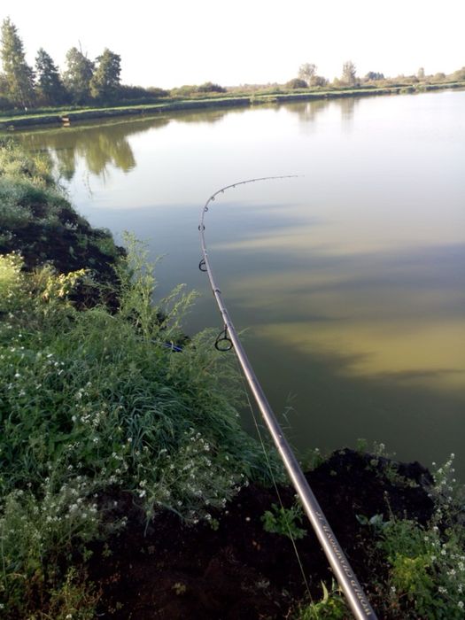 Lanseta serie walter world champion 2, 420, 120gr