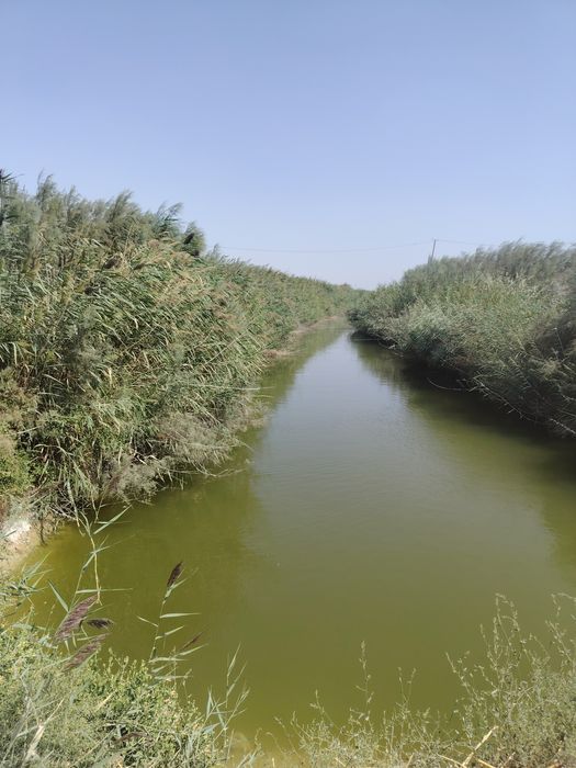 Tayyor bizness bilan shug'ullanuvchilar uchun