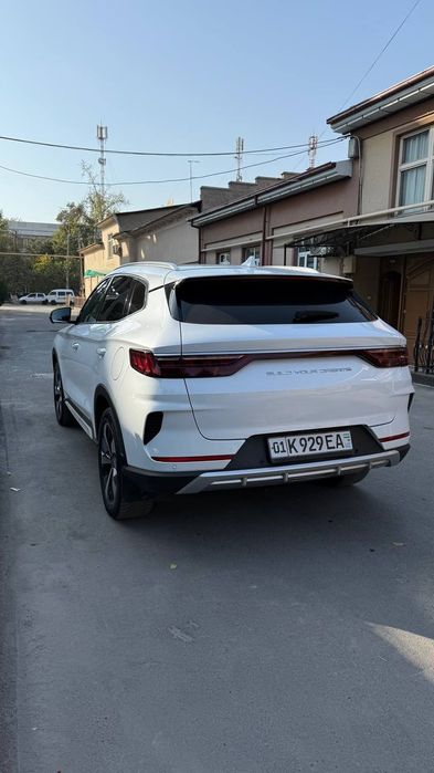 Byd song plus plashp