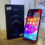 Сотовый телефон Apple iPhone 12 PRO 1218GB/ sk150825