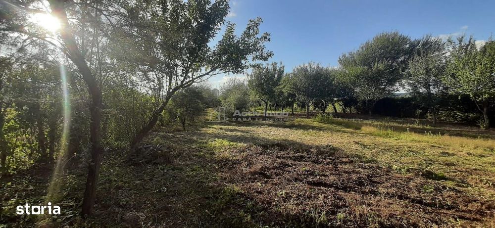 Gradina de vanzare intre Cristian si Orlat