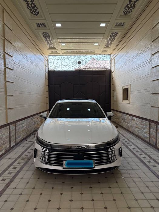byd chazor 2024 .