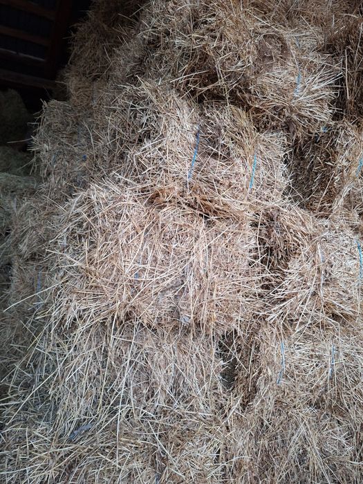 Vand baloti de lucerna