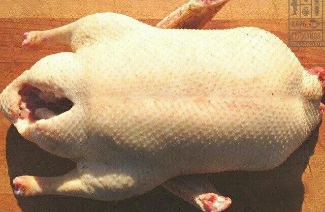 Продам домашних гусей