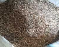 Зерноотход пшеницы