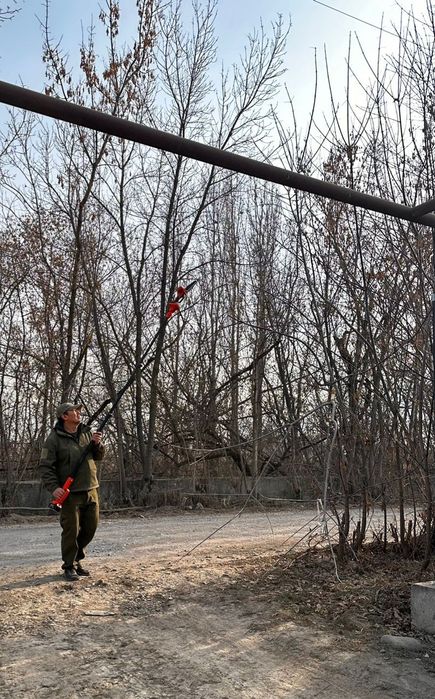 Обрезка срез древесины.