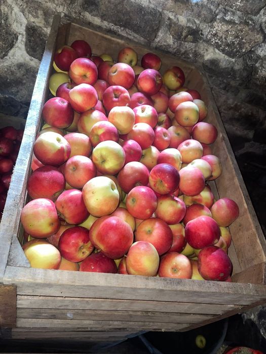 Mere de vanzare diverse sortimente