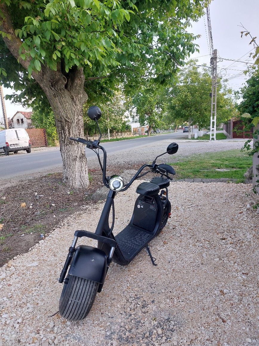 Scuter/moped electric