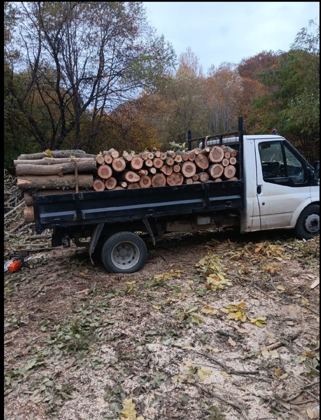Lemn de foc esență tare