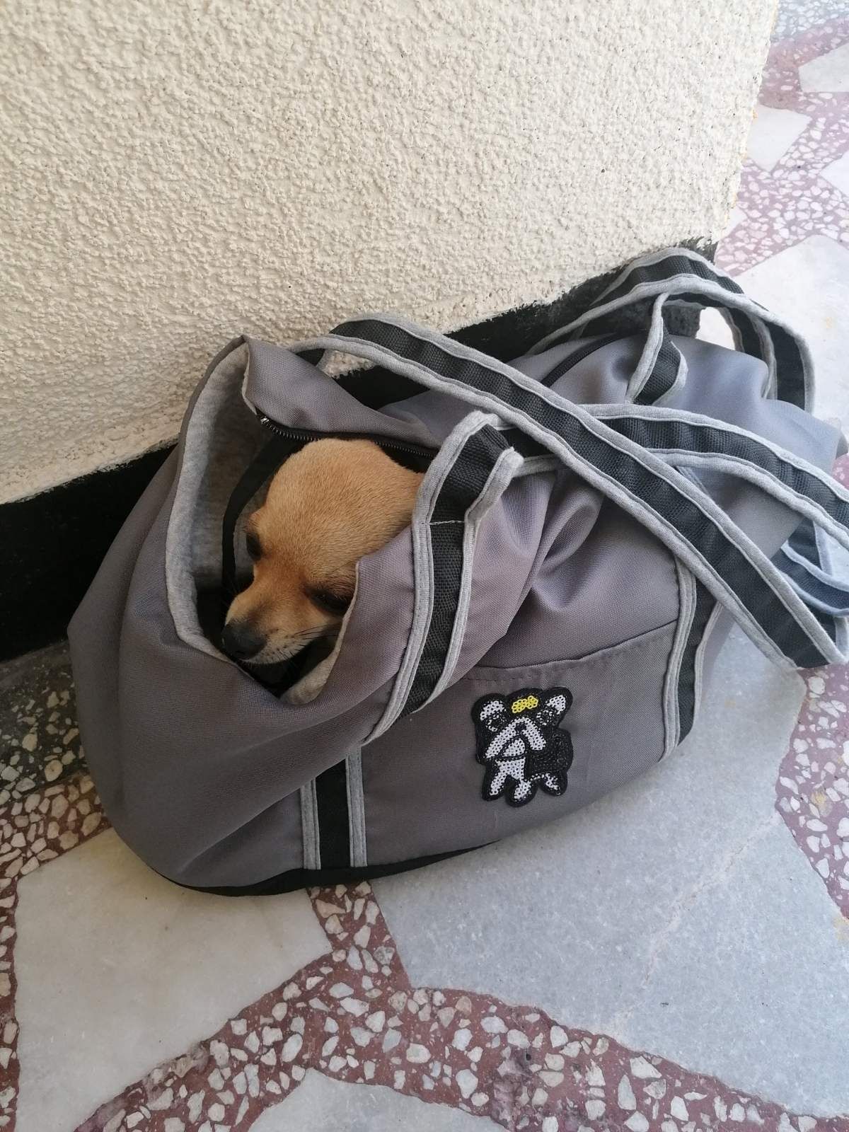 Чанта за пренос на малко кученце