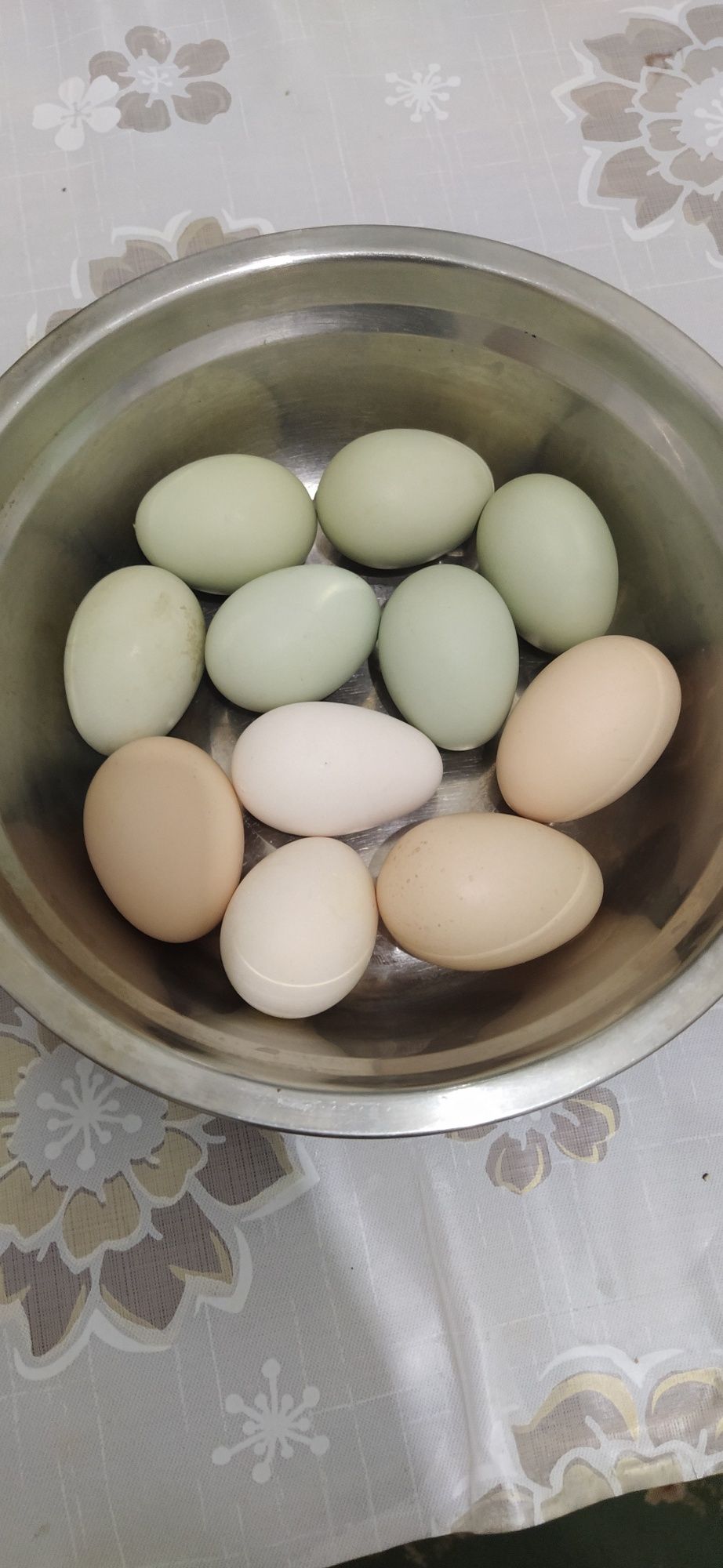 Продам яйцо инкубационные