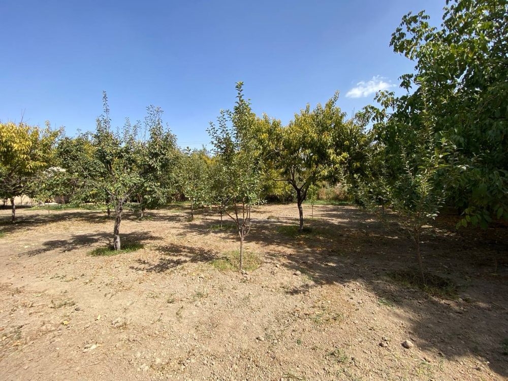 Qibray Tinchli mahalla yer sotiladi arzonga 5.7 sotx 22x26