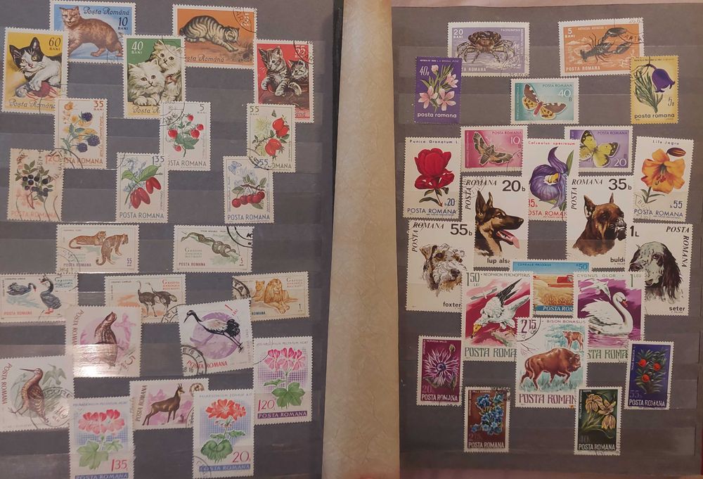 Clasor format A4 cu timbre romanesti, bonus 50 timbre.