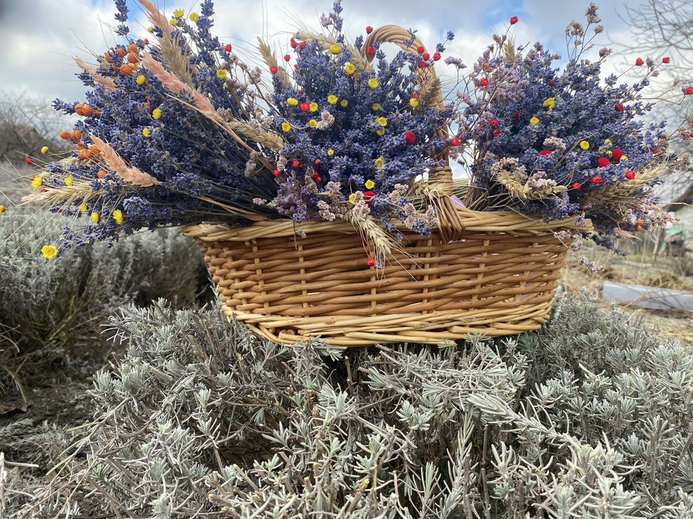 Vand lavanda verde cu tija, vrac, la kg