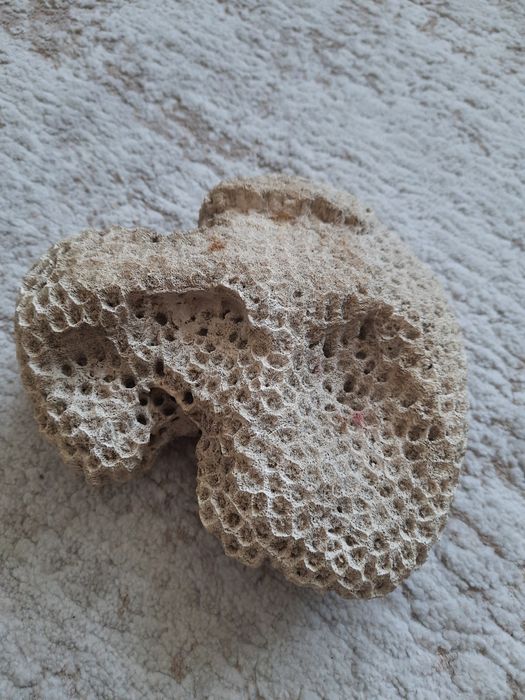 Руда, руди от родопите, големи образци