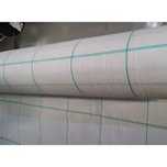 AGROTEXTIL ALB, AntiBuruieni, Aditivat UV, Rezistent/Calitate/Garantie