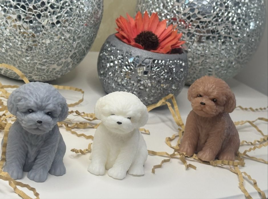 Marturii botez din baza de sapun