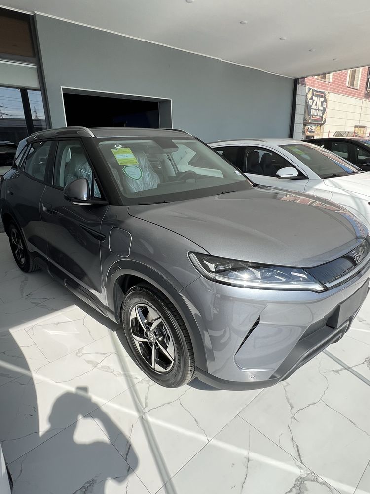 Byd Yuan Up Ev 2025