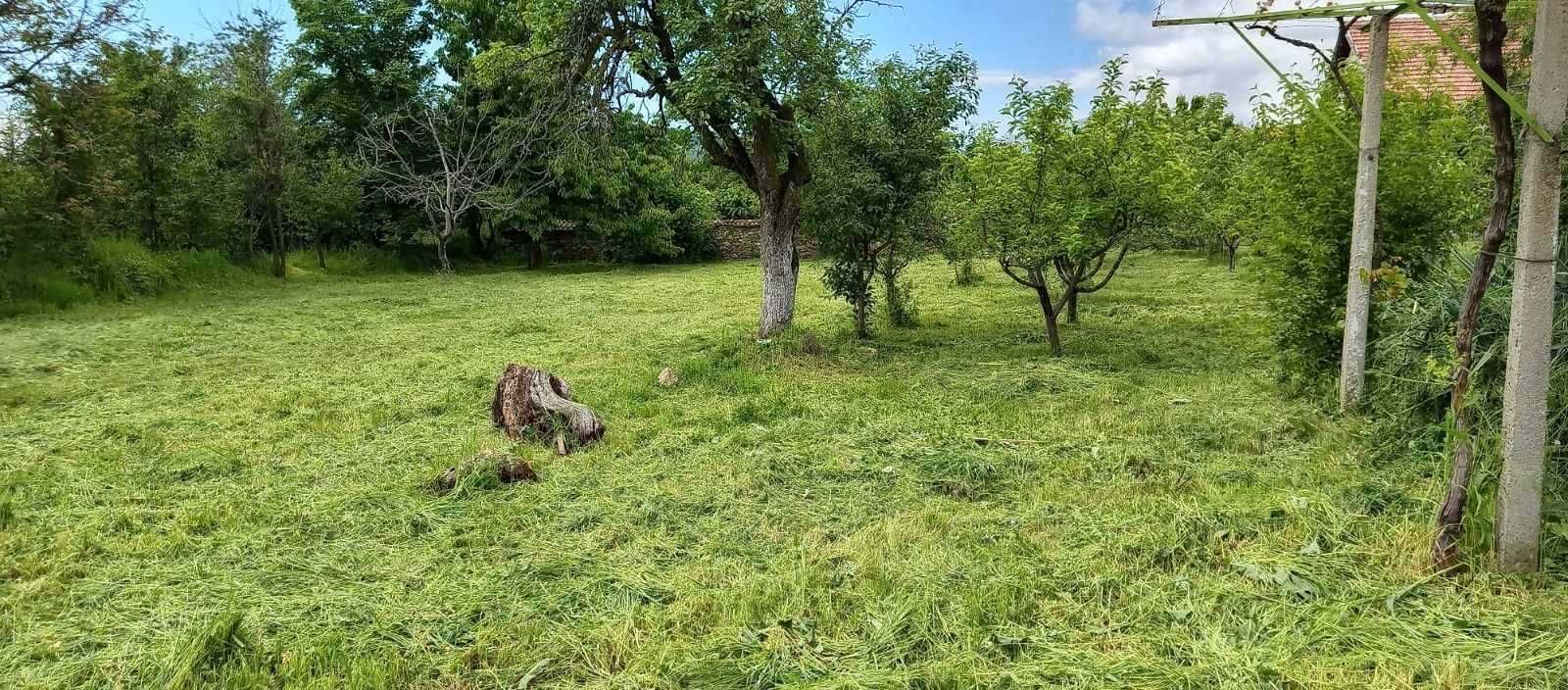 Продава къща в село Тъжа